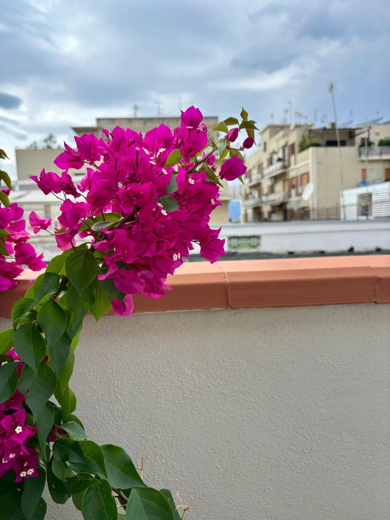 Strettomare-Business & Travel Apartment Reggio Calabria Exterior foto